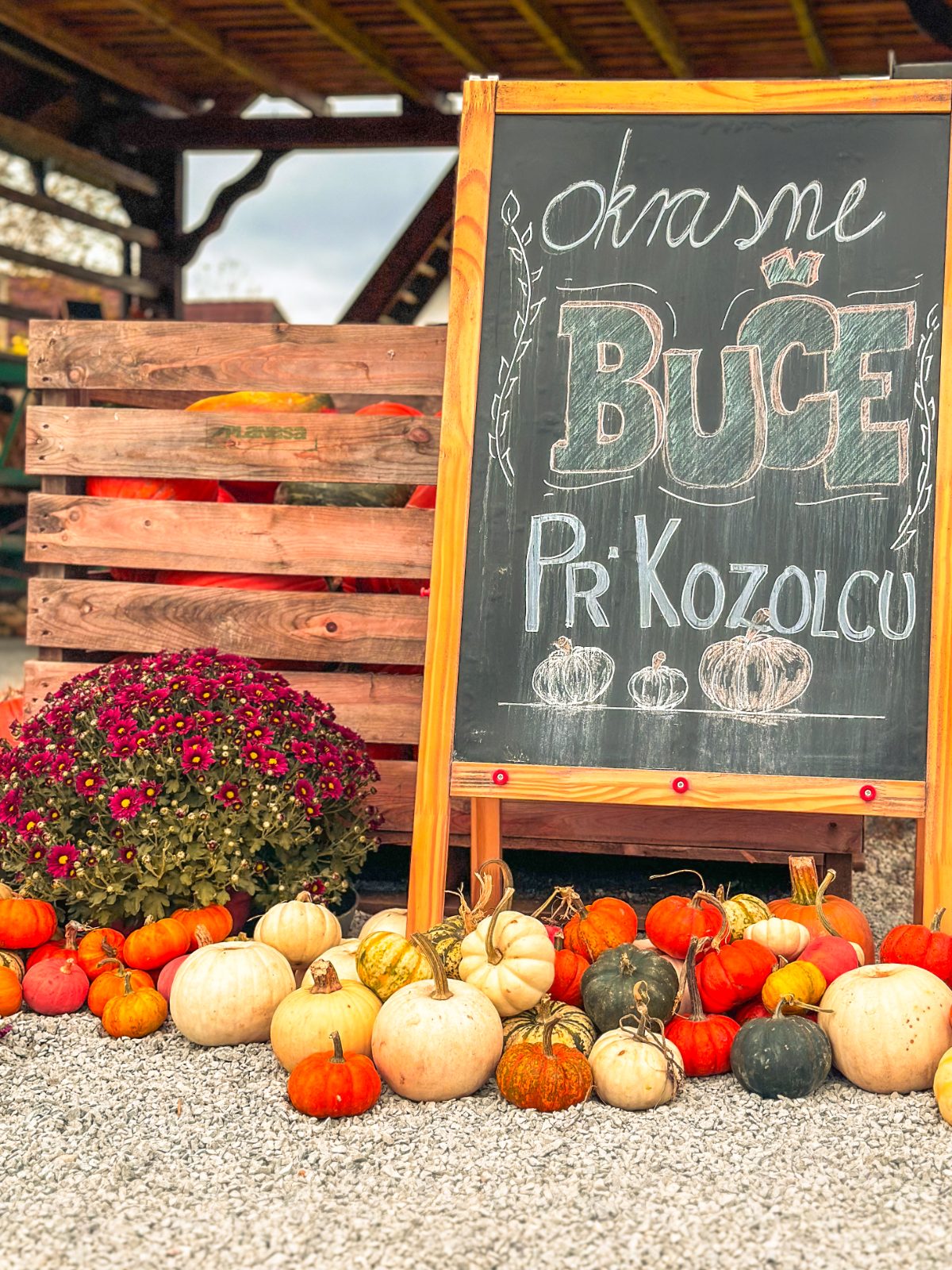 Tabla Buče Pr' Kozolcu